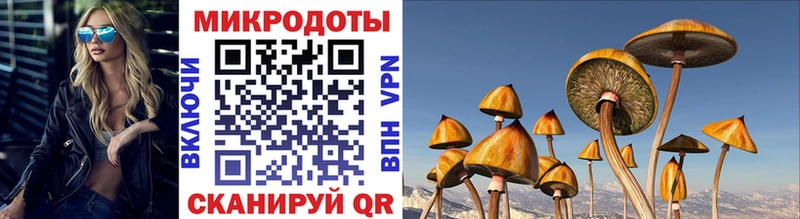 Галлюциногенные грибы Magic Shrooms  Остров 