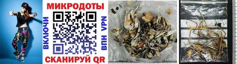 Галлюциногенные грибы Psilocybe Остров